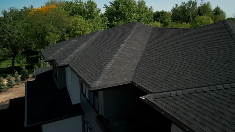 Best Roof Moss and Algae Removal  in Whitefish Bay, WI